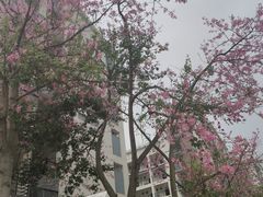 -福州大学(旗山校区)