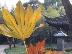 -兰亭风景区