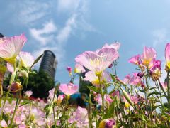 -乌龙江湿地公园