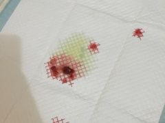 -思宇宠物医院