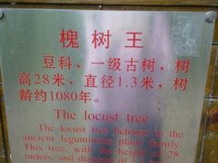 -北京上方山国家森林公园