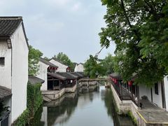 -鲁镇