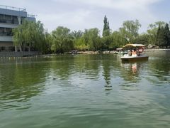 -古塔公园