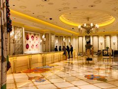 -拉斯维加斯永利酒店