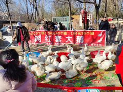 -辛庄国际文化艺术区