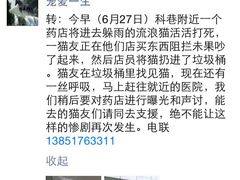 盛京一禾-盛京一禾