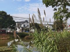 -莲花岛景区