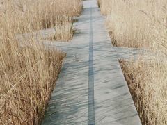 -中关村生命科学园