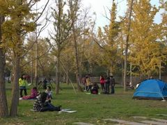 -重庆市江北嘴中央商务区中央公园