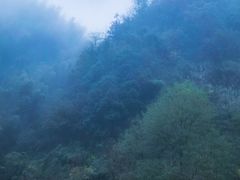 -梅岭月亮湾山体公园