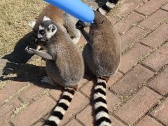 -泉州海丝野生动物世界