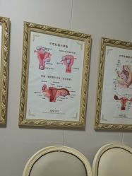-合肥白领安琪儿妇产医院•妇幼保健