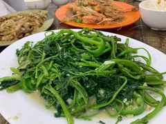 椒丝腐乳通菜-贞姨美食·老字号海鲜大排档