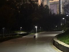 -重庆彩云湖湿地公园