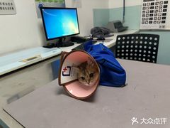 -特一安24小时宠物医院·骨科·中兽医