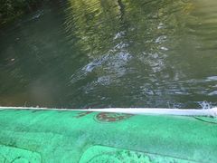 -大观园昆山峡漂流