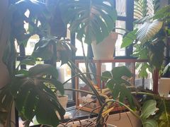 -一尺花园(安和花园店)