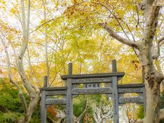 -杭州黄龙洞