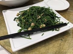 -有心德(麦地店)