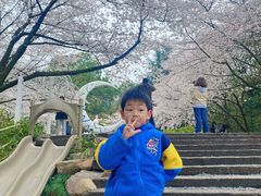 -杭州少年儿童公园