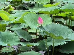 -承德避暑山庄景区