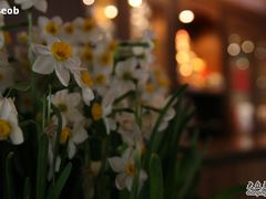 -老洋房花园饭店(绍兴路店)