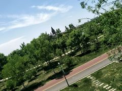 -武清南湖绿博园