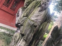 -青城道汤池