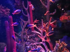 -沈阳海洋探索中心