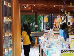 -猫的天空之城概念书店(丽江古城饮玉巷店)