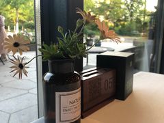 -龙猫意杯花园餐厅(芙蓉湖店)