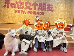 -和它·交个朋友·狗咖猫咖(爱琴海店)