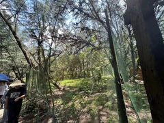 -北海金海湾红树林生态旅游区