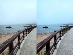 -小麦岛公园