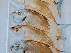 -Isla Sugbu Seafood City