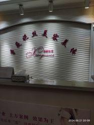 -香薇妮丝女子减肥院