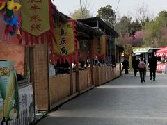 -秀丽东方