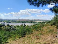 -红山国家森林公园