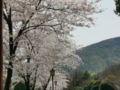 -穹窿山景区