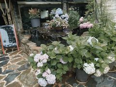 -乡村小榭饭店