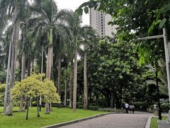-东风公园