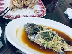 -望海潮海鲜店 特色家常菜(在海一方店)