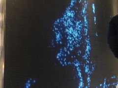 -阿迪达斯(武林银泰三叶草店)