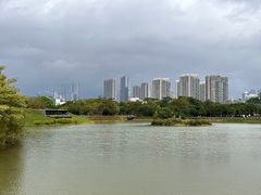 -福田红树林生态公园