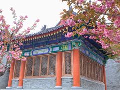 -终南山古楼观历史文化景区