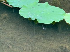 -苏州东太湖生态园