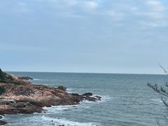 -广东惠东海龟国家级自然保护区