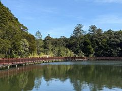 -海南热带雨林国家公园吊罗山景区