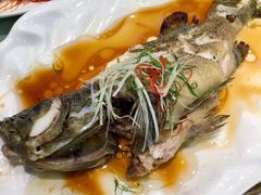 清蒸老虎斑-佳兰雅序融合菜(高新店)