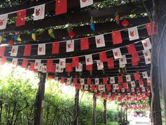 -白马涧龙池景区